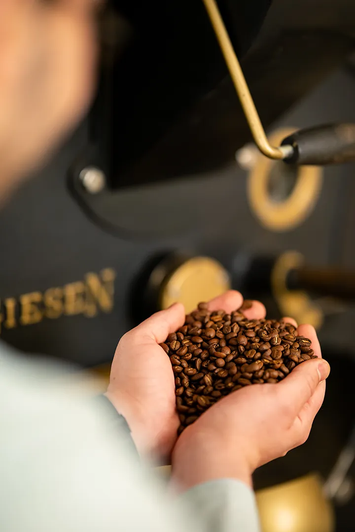 Bei der Frenchpress ist die richte Bohnenauswahl entscheidend